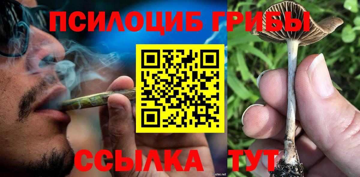 как найти закладки  Вход с VPN  Павловский Посад  Галлюциногенные грибы Psilocybine cubensis 