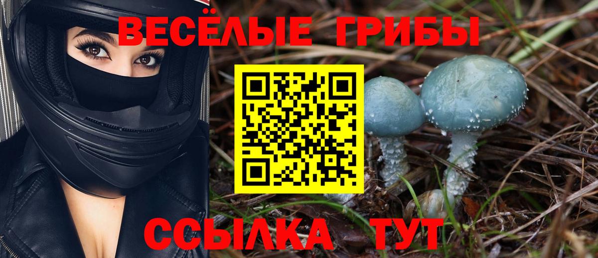 Галлюциногенные грибы Cubensis Павловский Посад
